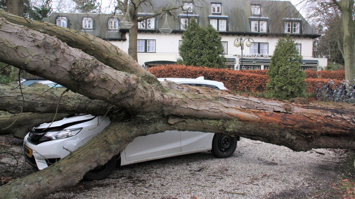 Stormschade in Wassenaar