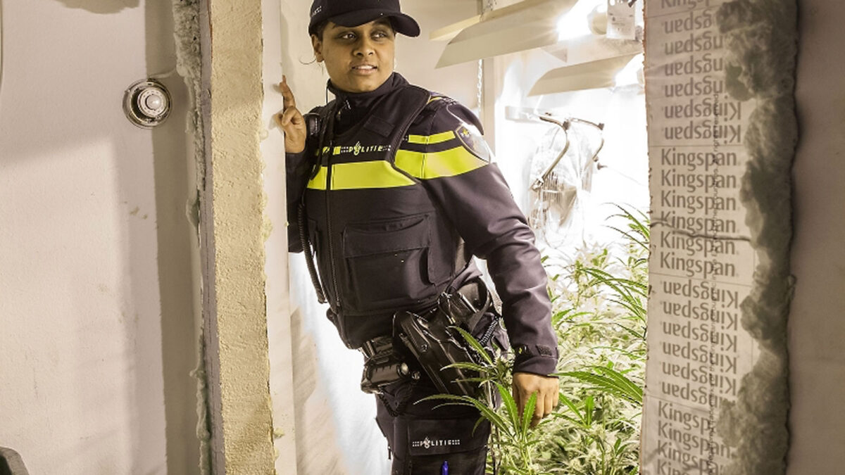 Twee hennepplantages aangetroffen in Wassenaar