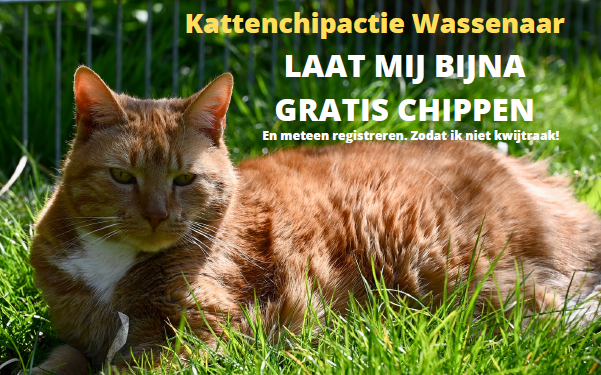 Chipactie Wassenaarse poezen bij NDZ: 27 september en 11 oktober!
