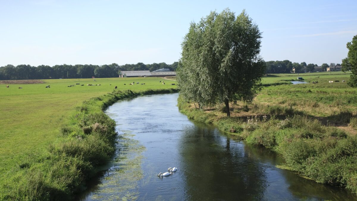 Prinsjesdag 2023: Waterschappen zien kansen voor versnelling natuurherstel